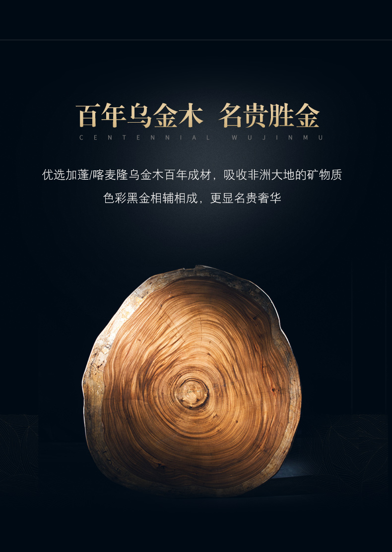 T13详情_09.jpg